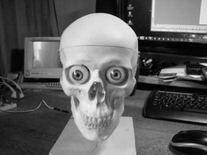 Talking Skull