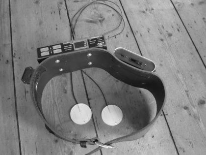Tigger Roland TD3